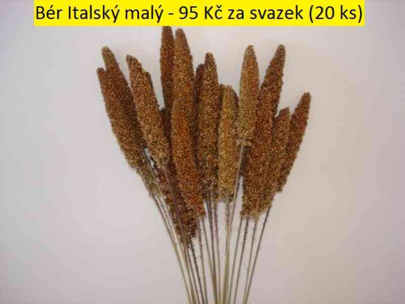Sušené květiny - foto 6