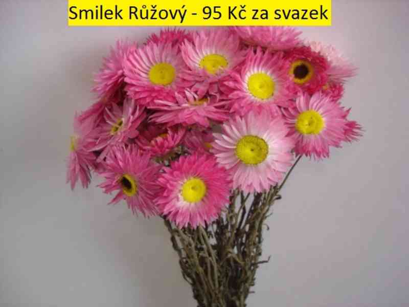 Sušené květiny - foto 1