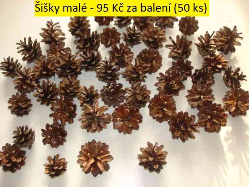 Sušené květiny - foto 50