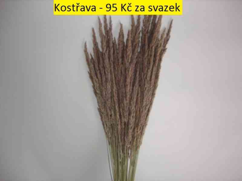 Sušené květiny - foto 20