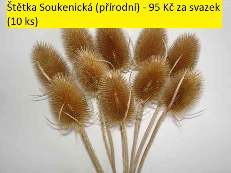 Sušené květiny - foto 54