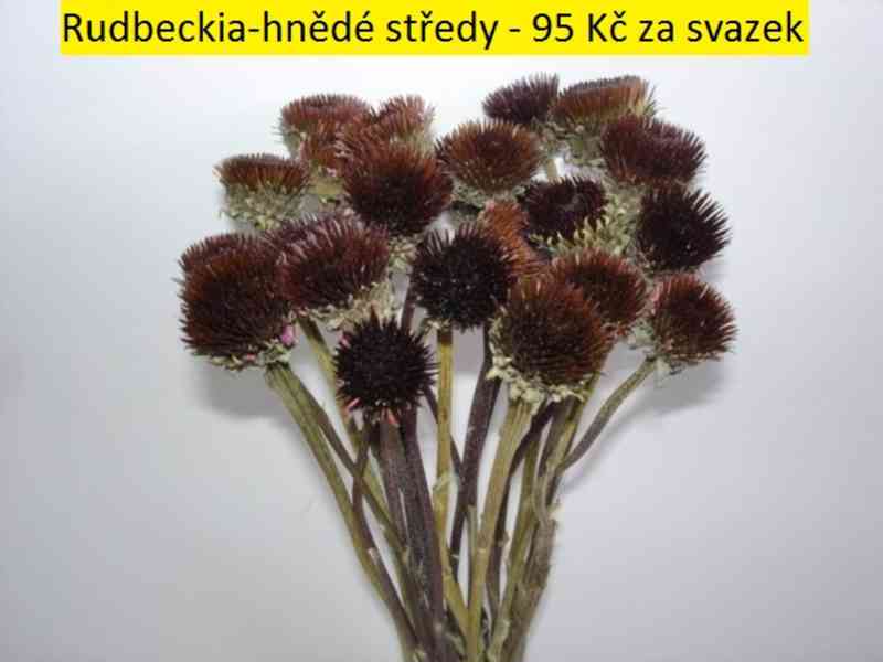 Sušené květiny - foto 38