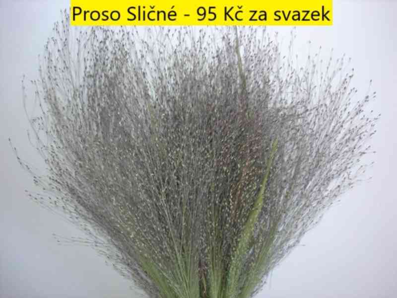 Sušené květiny - foto 35