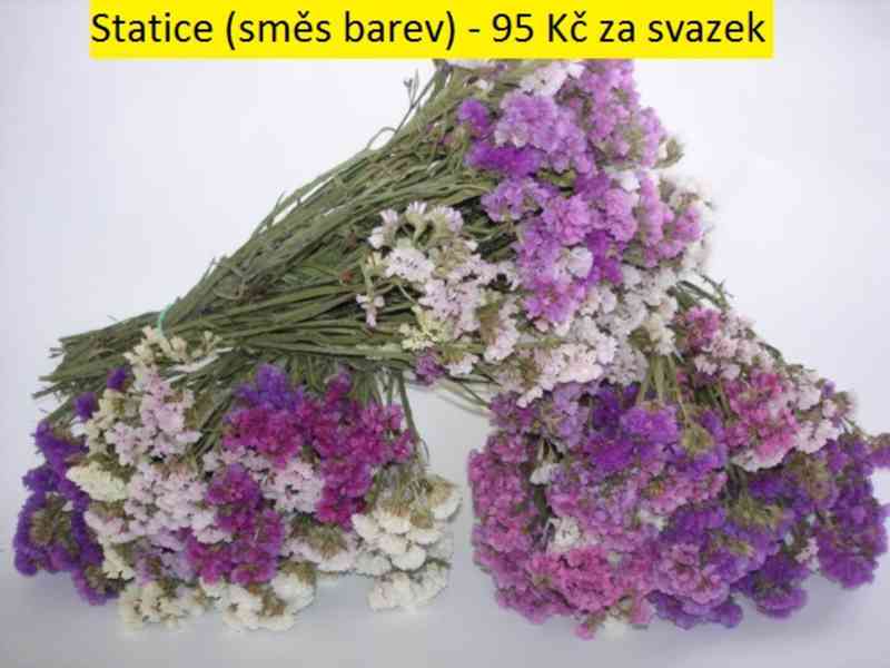 Sušené květiny - foto 4