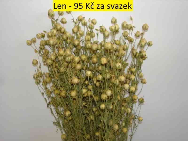 Sušené květiny - foto 2