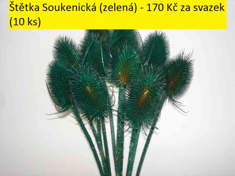 Sušené květiny - foto 55