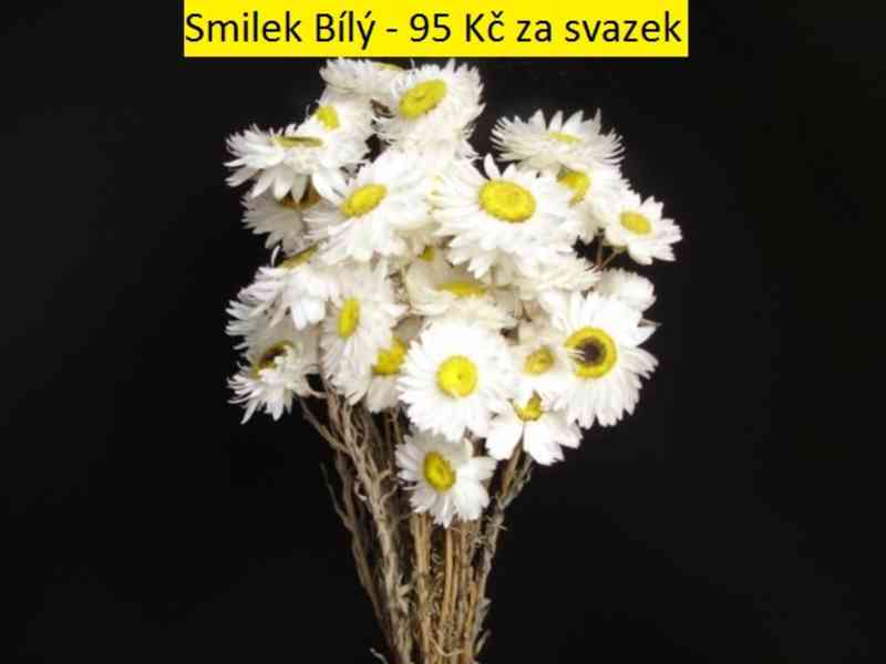 Sušené květiny - foto 3