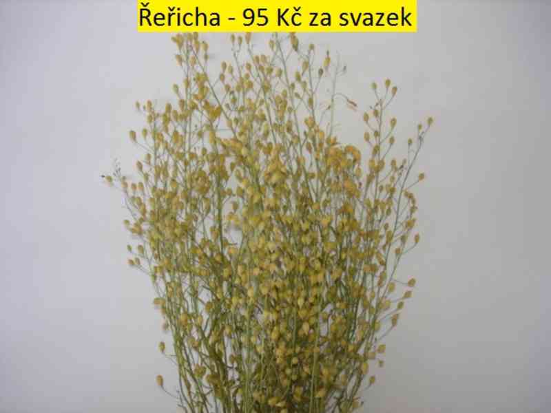 Sušené květiny - foto 40