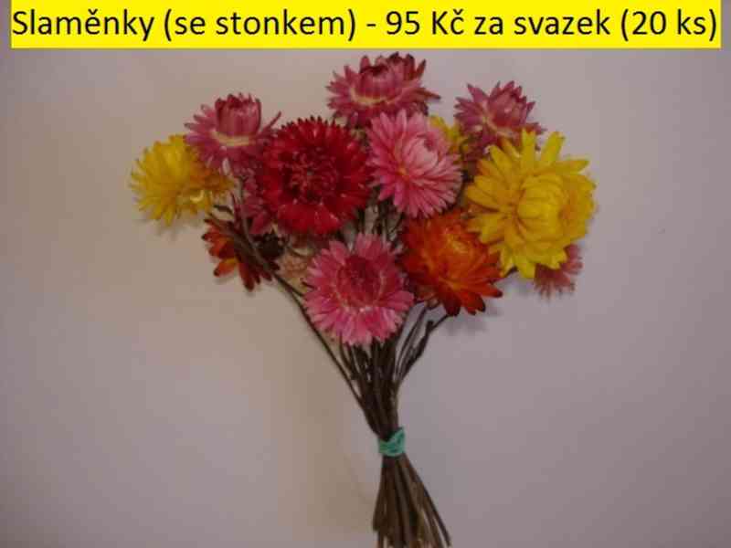 Sušené květiny - foto 42