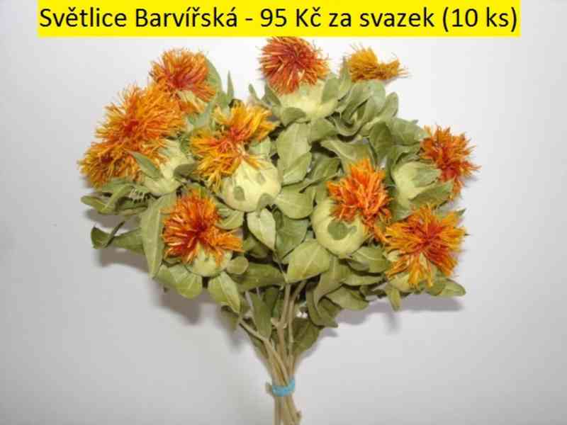Sušené květiny - foto 47