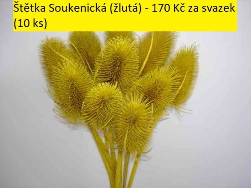Sušené květiny - foto 56