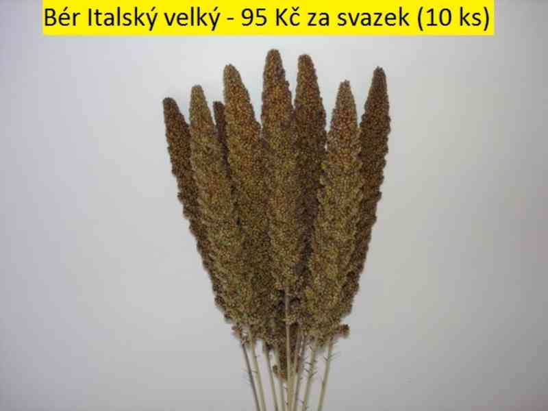 Sušené květiny - foto 7
