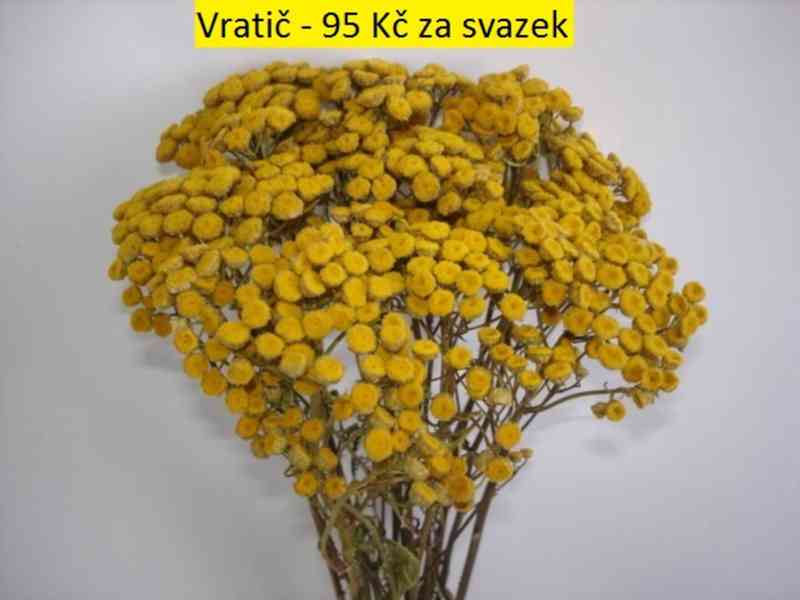 Sušené květiny - foto 63
