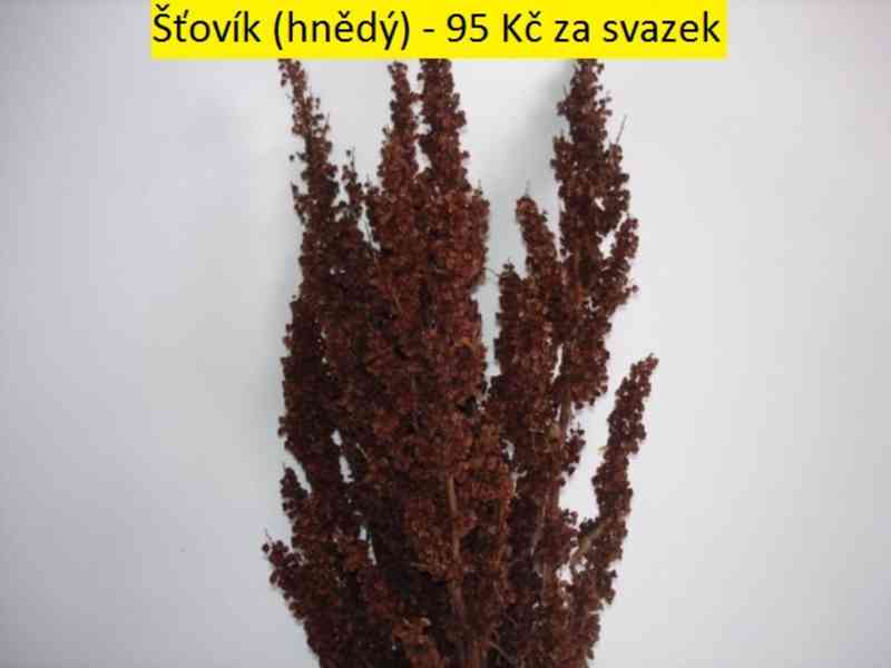 Sušené květiny - foto 58