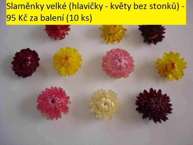 Sušené květiny - foto 43