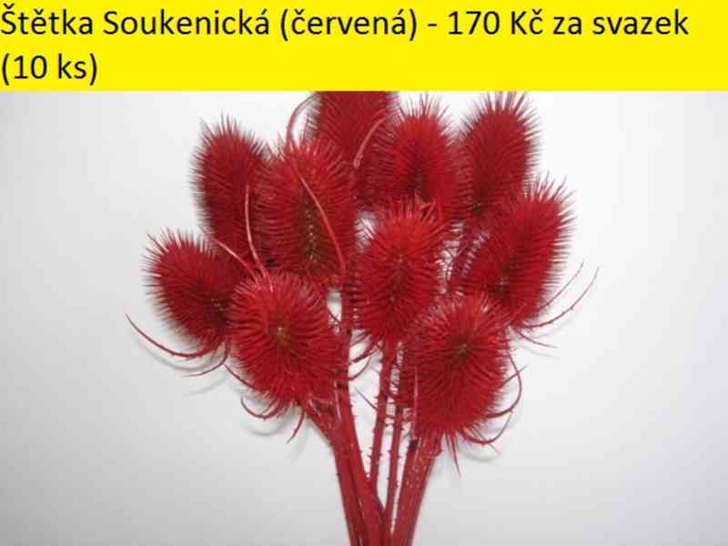 Sušené květiny - foto 52