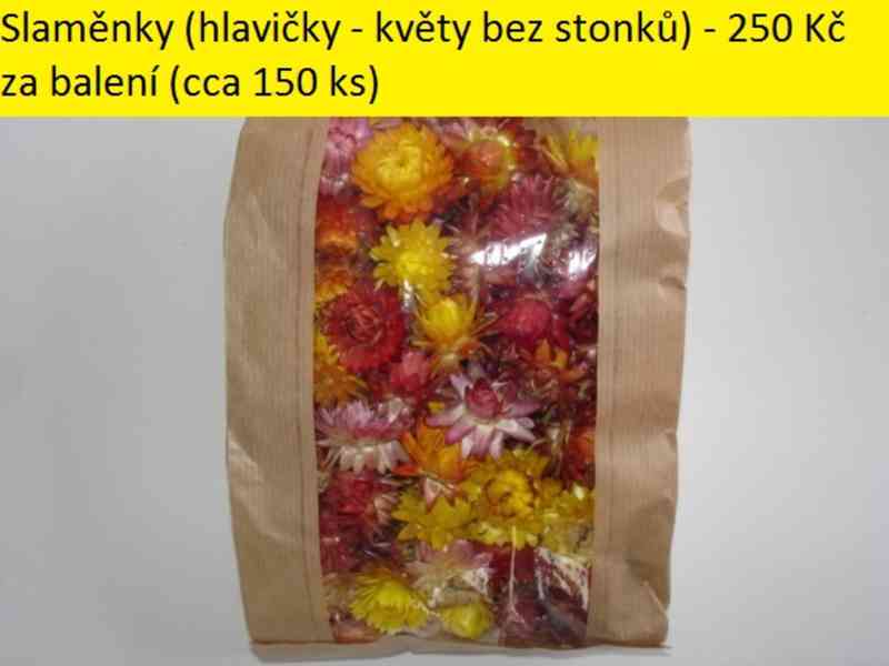 Sušené květiny - foto 41