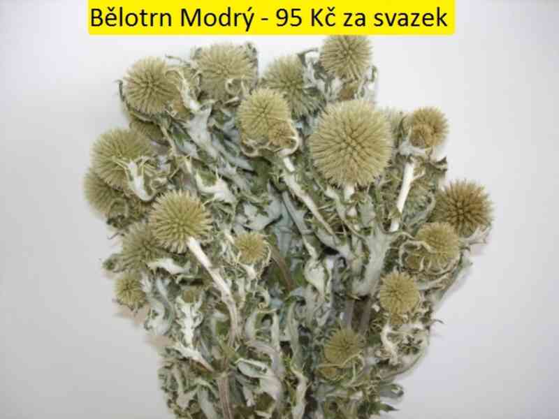 Sušené květiny - foto 5