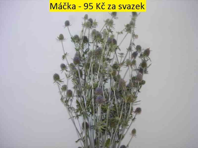Sušené květiny - foto 25