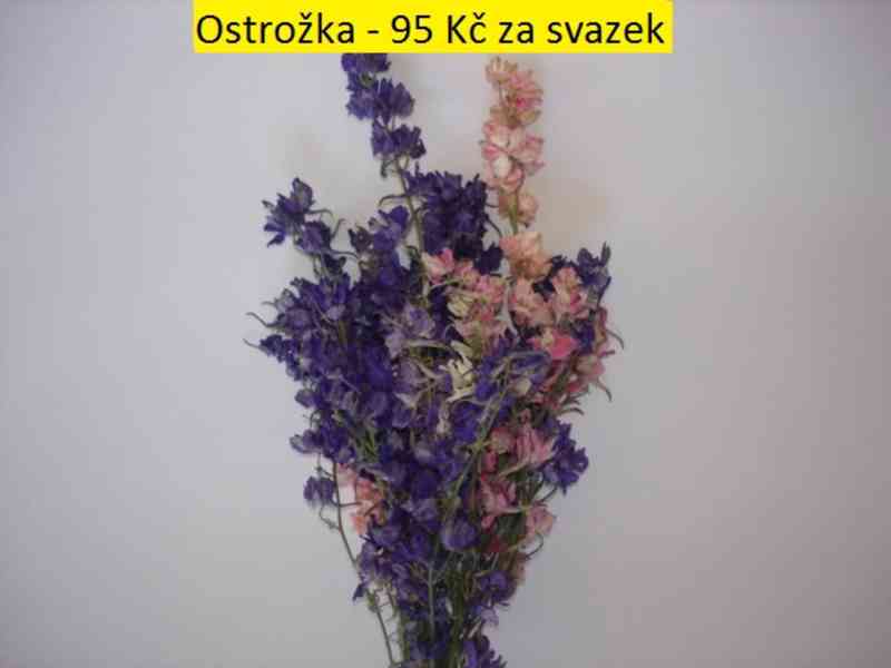 Sušené květiny - foto 28