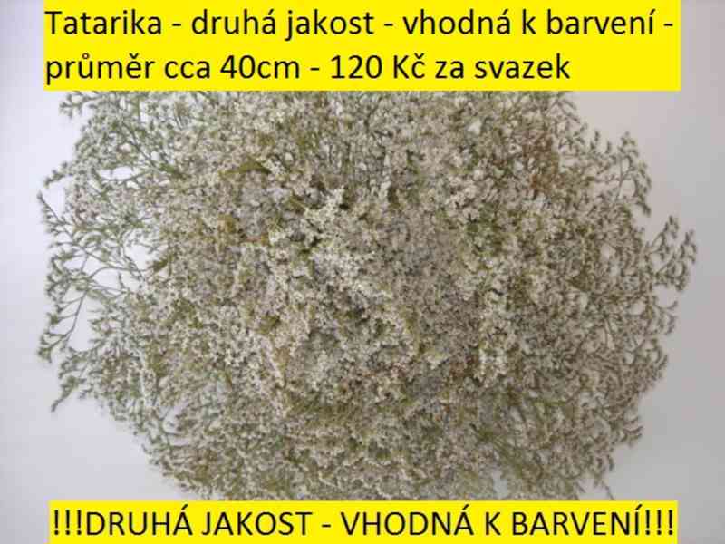 Sušené květiny - foto 60