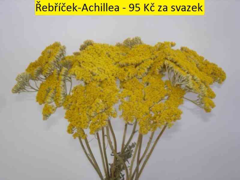 Sušené květiny - foto 39