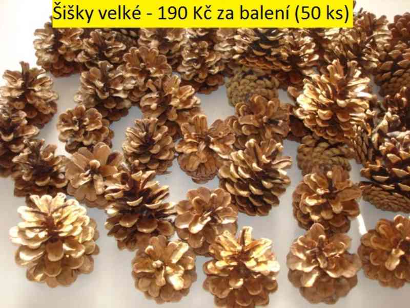 Sušené květiny - foto 51
