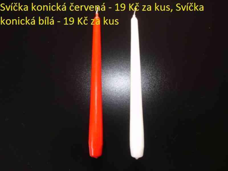 Sušené květiny - foto 48