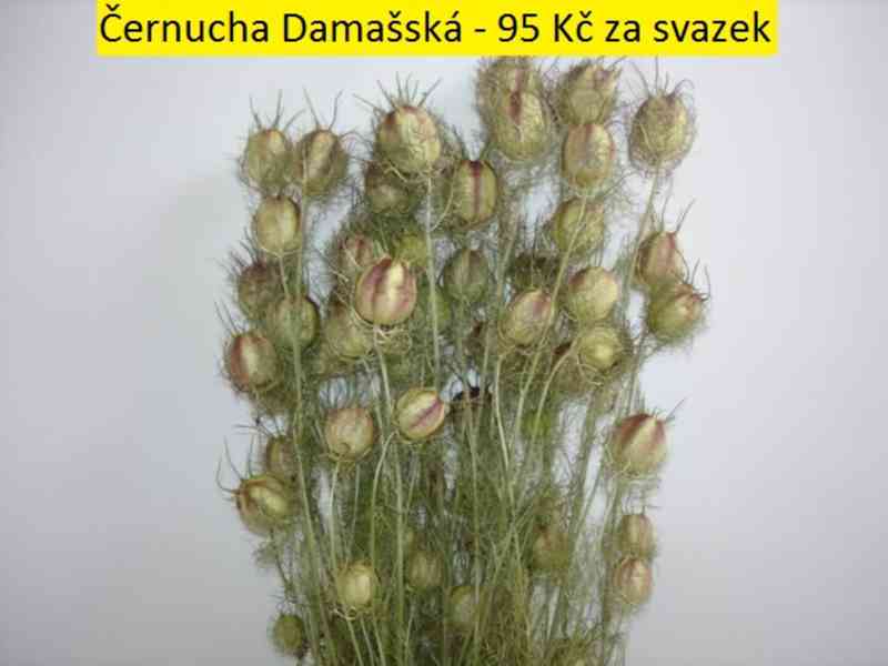 Sušené květiny - foto 13