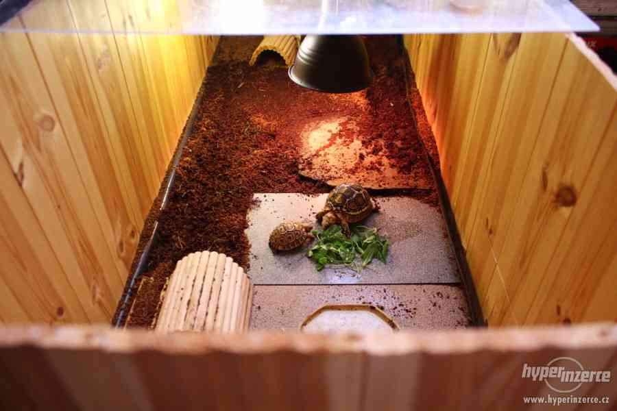 Prodám dřevěnou bednu pro suchozemské želvy - foto 2