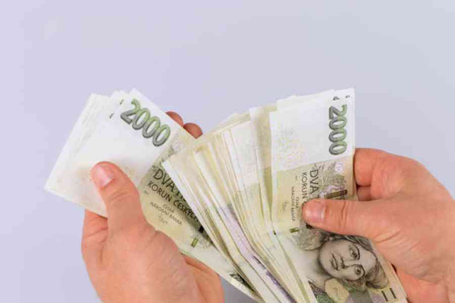 Financování   - foto 2