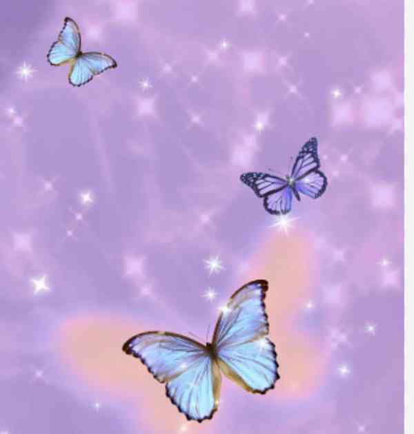 ytfghgjhkkkkkkkkkkkkkkkkkkk - foto 1