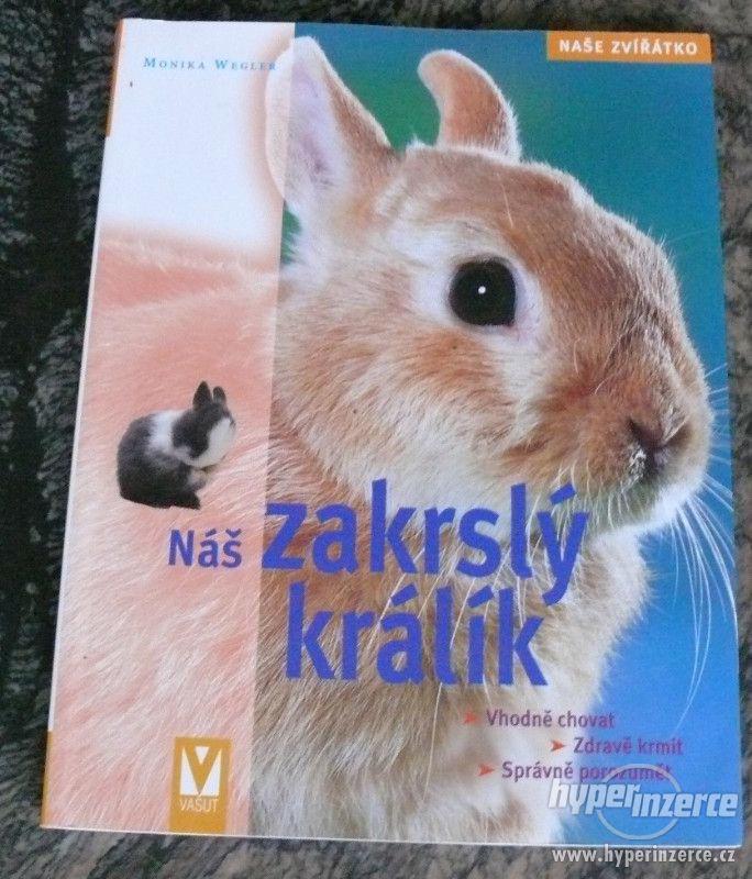 Kniha Náš zakrslý králík - foto 1