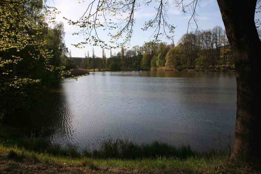 DEKORACE DO BYTU a KANCELÁŘE - foto 20