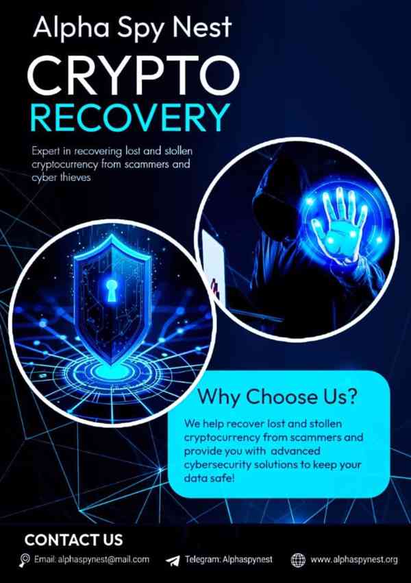 THE BEACON OF HOPE: HOW ALPHA SPY NEST SAVED MY LIFE SAVINGS - foto 2