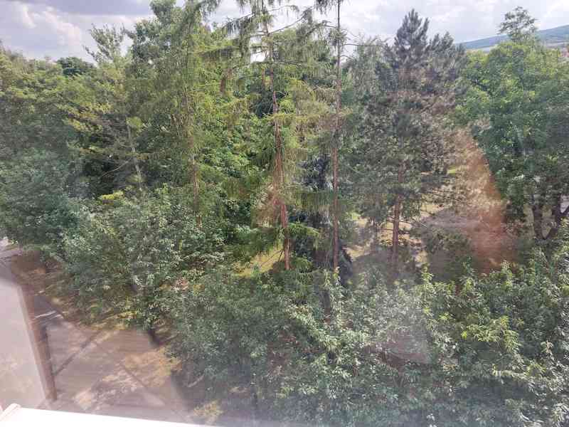 pronájem bytu Lovosice - foto 13