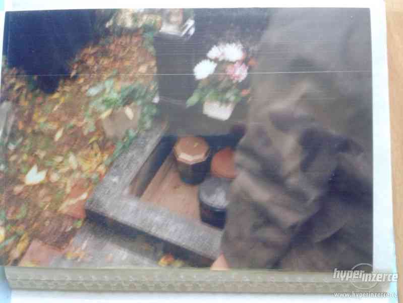 prodám urnový hrob na Olšanech - foto 4