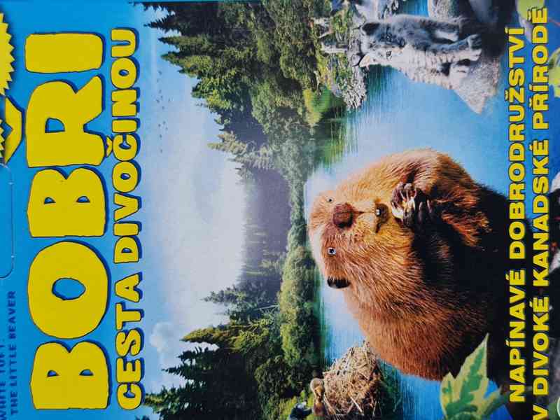DVD - BOBŘI / Cesta divočinou