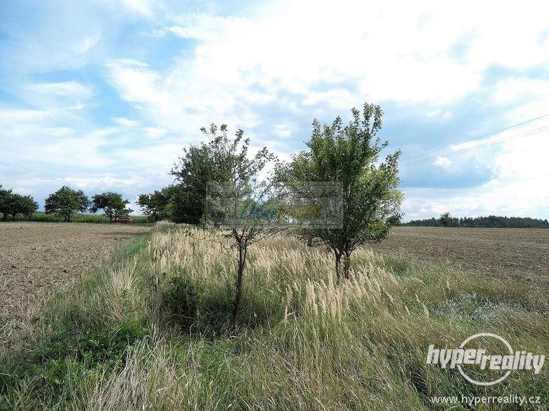 Prodej orné půdy a trvalého travního porostu v katastru obce Pucov - foto 6