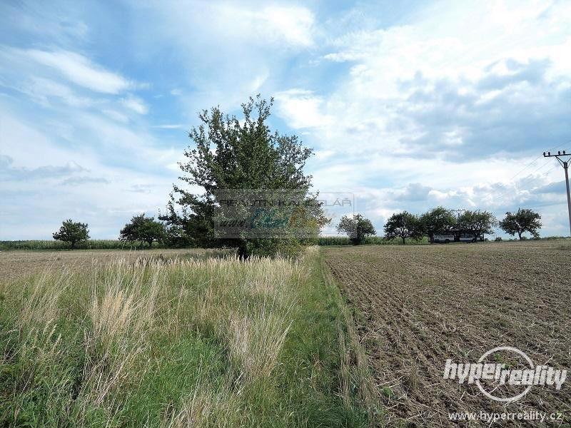 Prodej orné půdy a trvalého travního porostu v katastru obce Pucov - foto 7