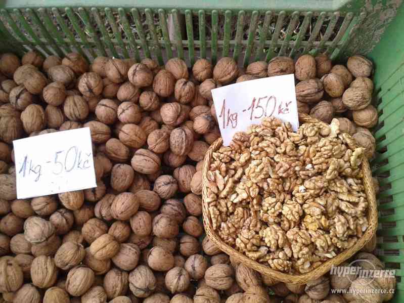 Ořechy "papíráky" - foto 1