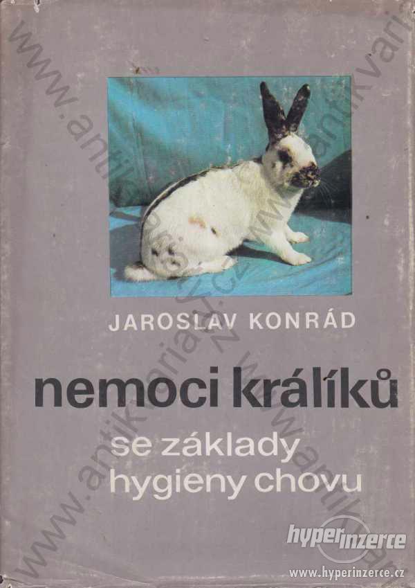 Nemoci králíků Jaroslav Konrád - foto 1