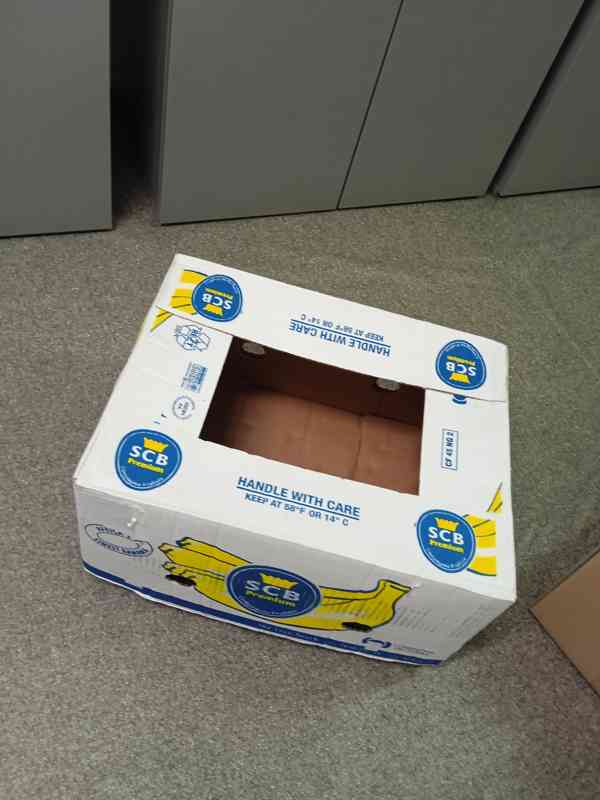 Kartonové krabice, banánovky - foto 3