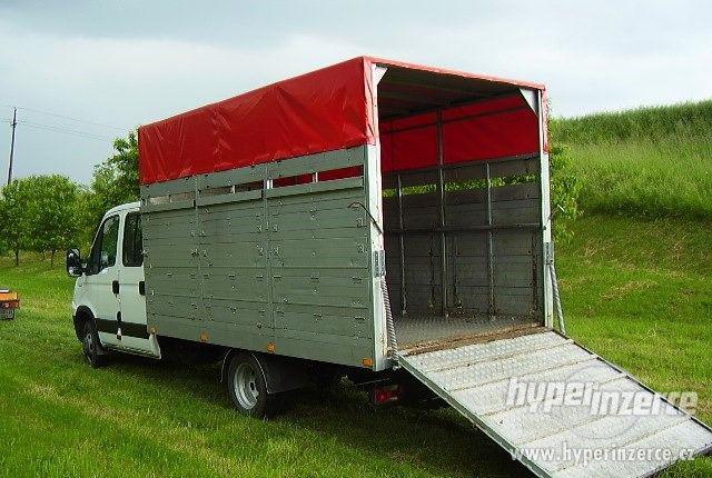 Iveco Daily 40C15 7míst ,pro převoz zvířat, B - foto 7