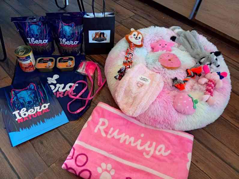 biewer terier s PP - foto 7