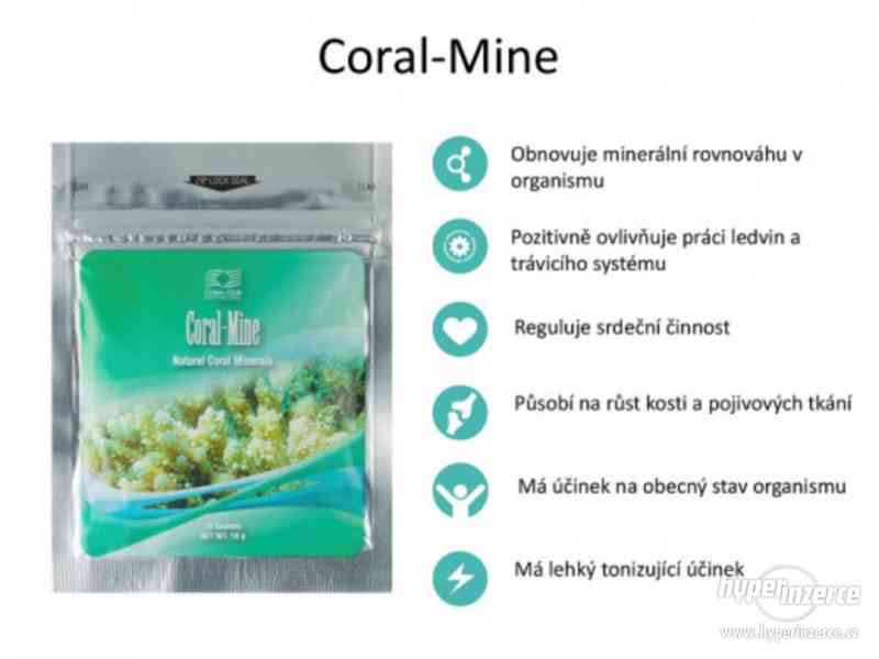 Coral Mine  zdraví z moře - foto 1