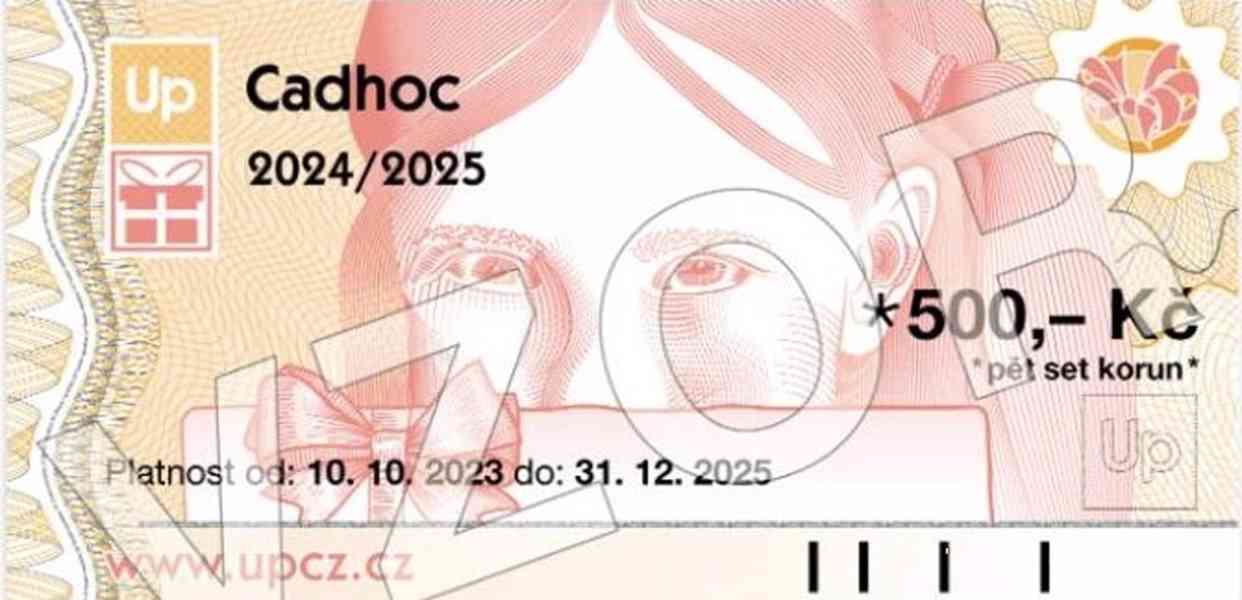 Rychlá výkupna benefitů,stravenek, poukázek, voucherů Pluxee - foto 4