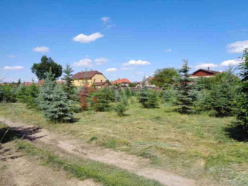 Prodej zahrady o výměře 5 565 m2 v obci Nepolisy - foto 2