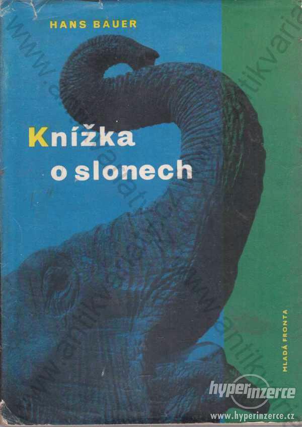 Knížka o slonech H. Bauer 1961 Mladá fronta, Praha - foto 1