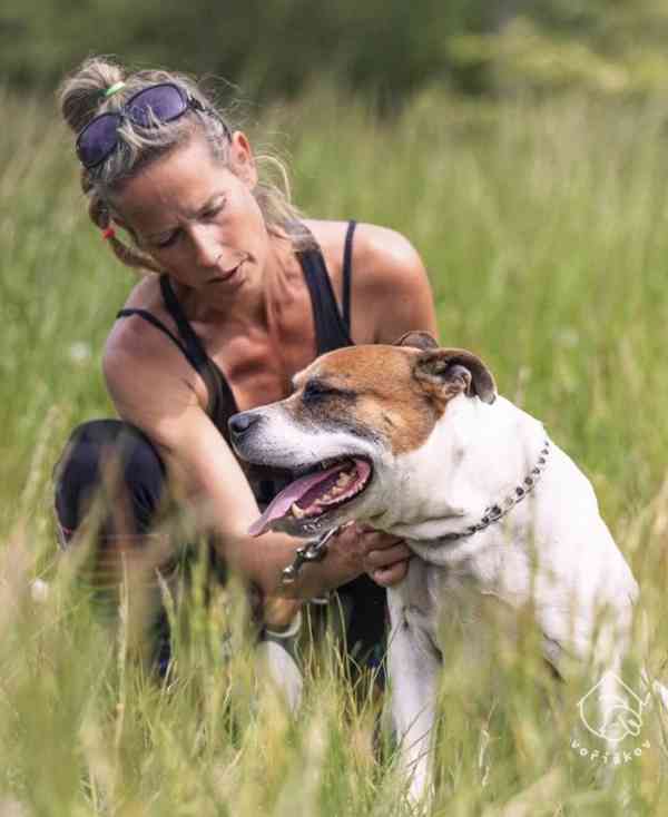 Marley z útulku Voříškov - foto 7